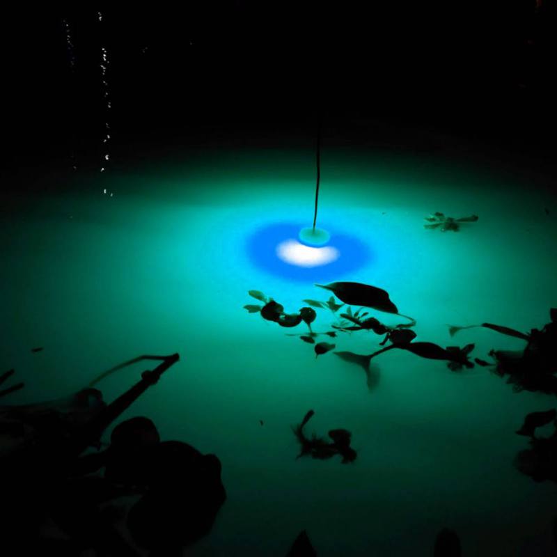 Mini Fishing Attraction Lamp G - مراجعة Fishing Boat Navigation Light وسعره