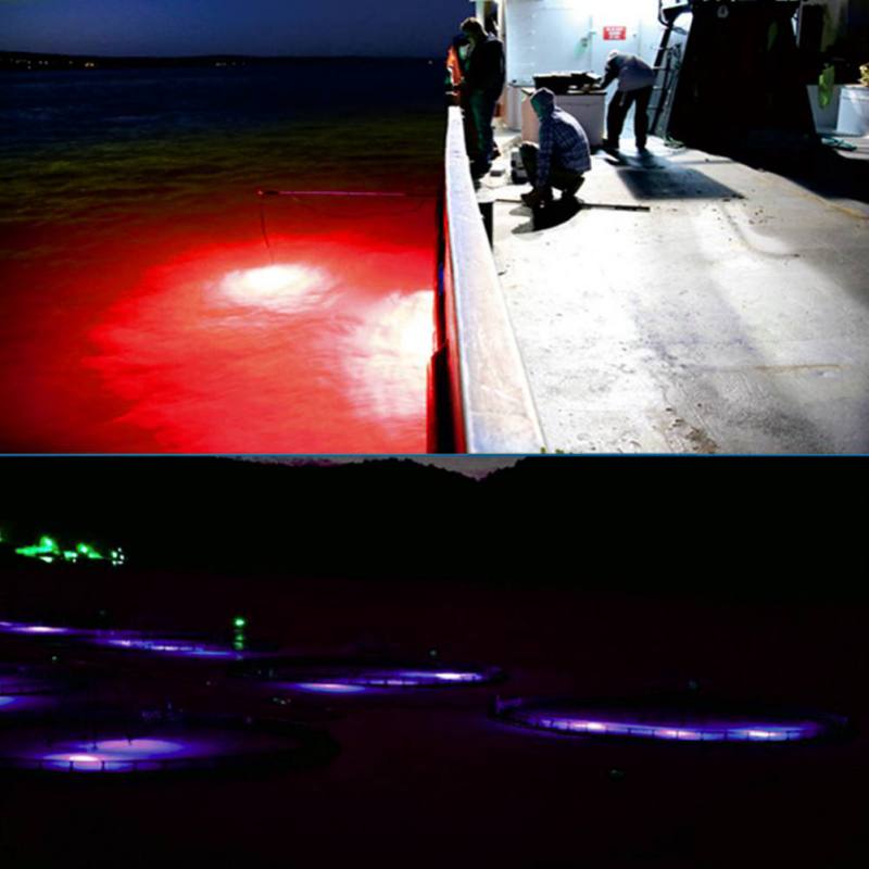 Mini Fishing Attraction Lamp G - مراجعة Fishing Boat Navigation Light وسعره