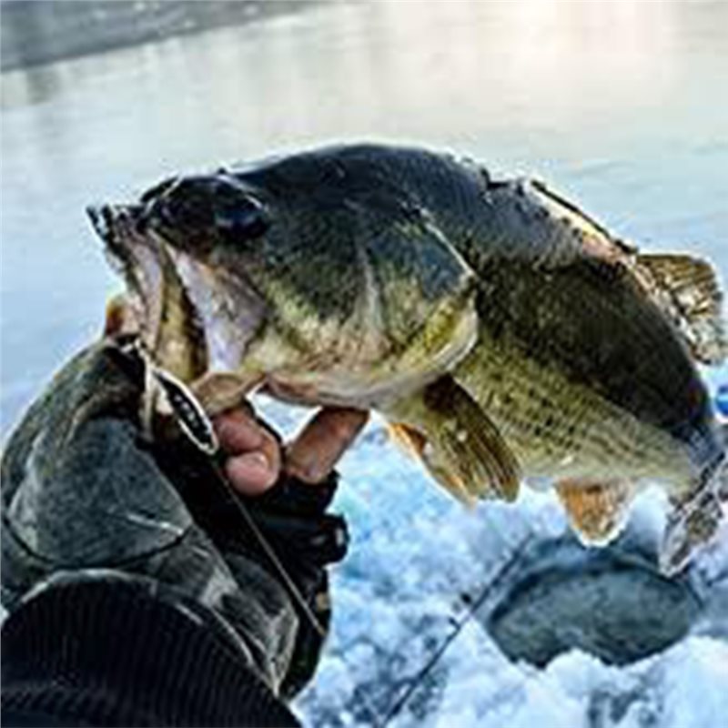 ABUE-Kayak Portable Fish Depth - مراجعة Fishing Boat Depth Finder وسعره